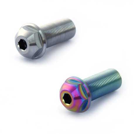 Титановые болты для втулки Armour Bikes 14 mm X 1.25 mm Oil Slick (нефтяное, масляное)