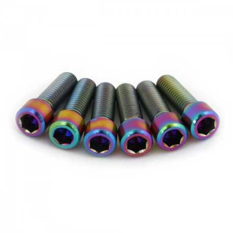 Болты для выноса из титана Armour Bikes Ti М8х25мм 6шт. Oil Slick